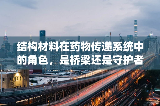 结构材料在药物传递系统中的角色，是桥梁还是守护者？
