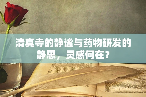 清真寺的静谧与药物研发的静思，灵感何在？