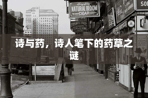 诗与药，诗人笔下的药草之谜