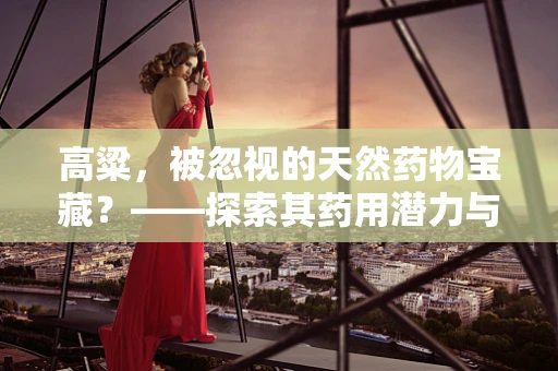 高粱，被忽视的天然药物宝藏？——探索其药用潜力与挑战