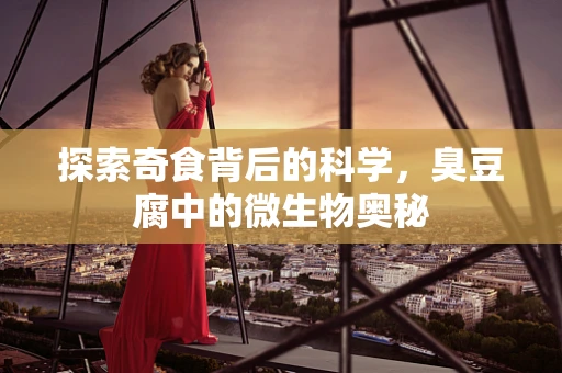 探索奇食背后的科学，臭豆腐中的微生物奥秘
