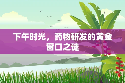 下午时光，药物研发的黄金窗口之谜