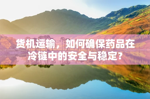 货机运输，如何确保药品在冷链中的安全与稳定？