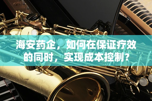 海安药企，如何在保证疗效的同时，实现成本控制？