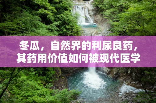 冬瓜，自然界的利尿良药，其药用价值如何被现代医学发掘？