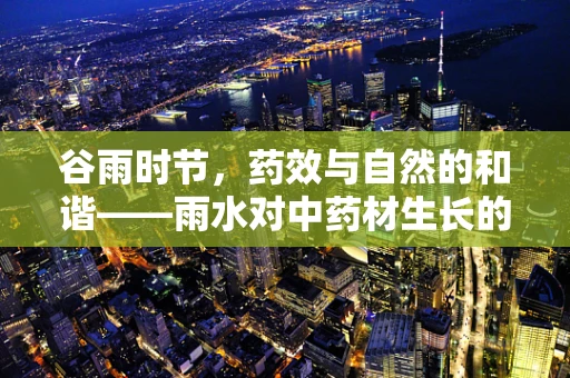谷雨时节，药效与自然的和谐——雨水对中药材生长的影响