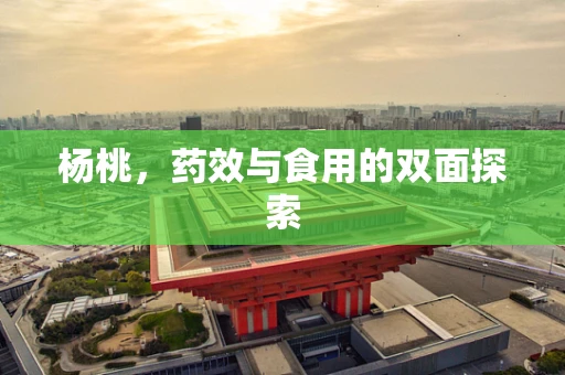 杨桃，药效与食用的双面探索