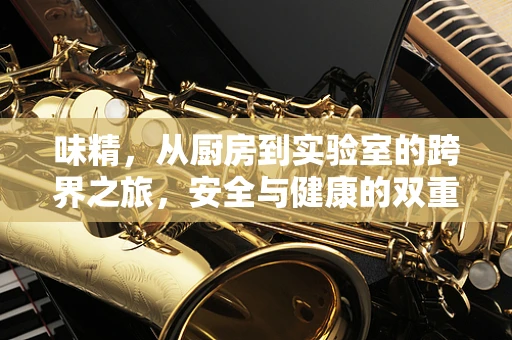 味精，从厨房到实验室的跨界之旅，安全与健康的双重考量