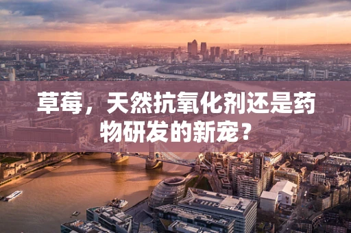 草莓，天然抗氧化剂还是药物研发的新宠？