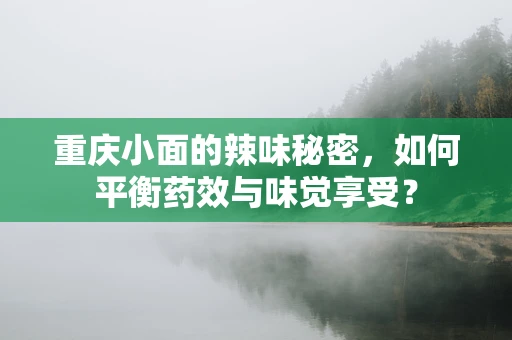 重庆小面的辣味秘密，如何平衡药效与味觉享受？