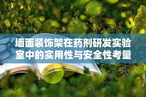 墙面装饰架在药剂研发实验室中的实用性与安全性考量