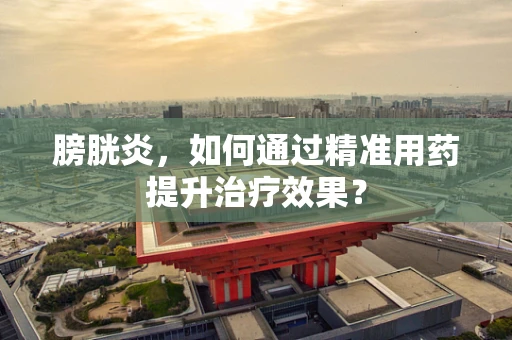 膀胱炎，如何通过精准用药提升治疗效果？