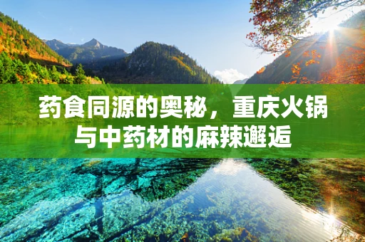 药食同源的奥秘，重庆火锅与中药材的麻辣邂逅