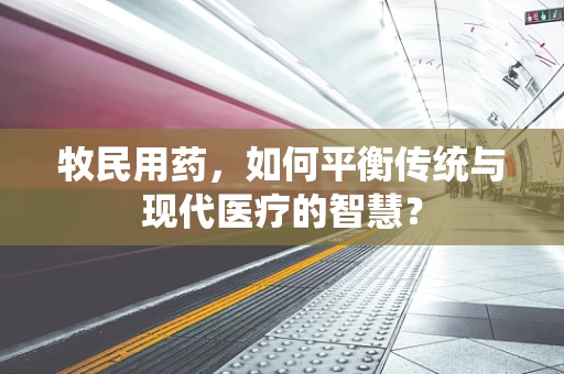 牧民用药，如何平衡传统与现代医疗的智慧？
