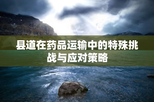 县道在药品运输中的特殊挑战与应对策略