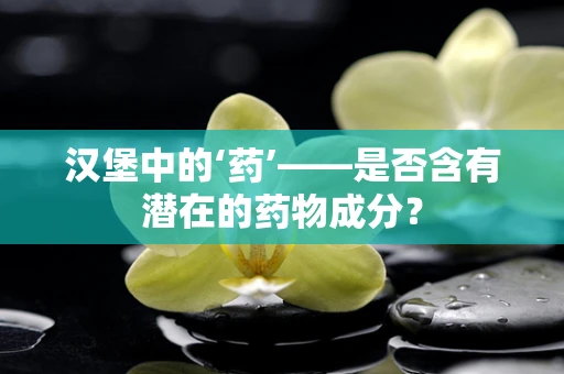 汉堡中的‘药’——是否含有潜在的药物成分？