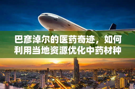 巴彦淖尔的医药奇迹，如何利用当地资源优化中药材种植以促进药剂研发？