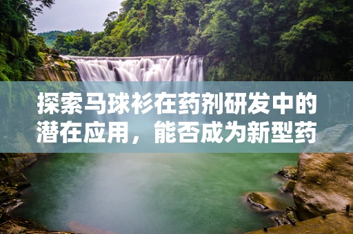 探索马球衫在药剂研发中的潜在应用，能否成为新型药物载体？