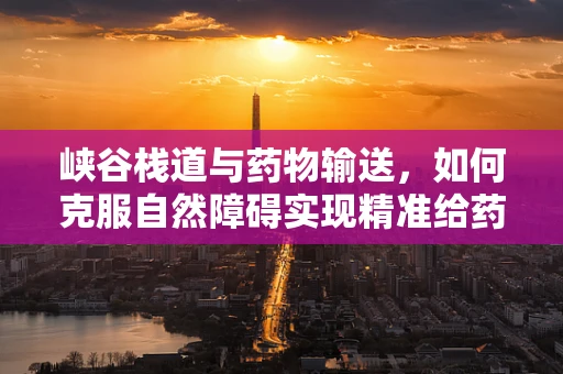 峡谷栈道与药物输送，如何克服自然障碍实现精准给药？