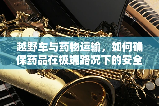 越野车与药物运输，如何确保药品在极端路况下的安全与稳定？