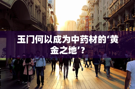 玉门何以成为中药材的‘黄金之地’？