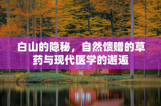 白山的隐秘，自然馈赠的草药与现代医学的邂逅