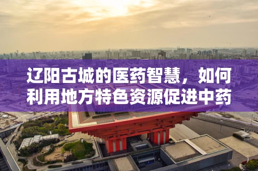 辽阳古城的医药智慧，如何利用地方特色资源促进中药创新研发？