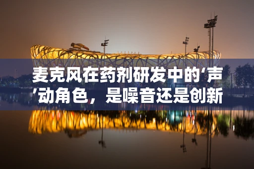 麦克风在药剂研发中的‘声’动角色，是噪音还是创新催化剂？