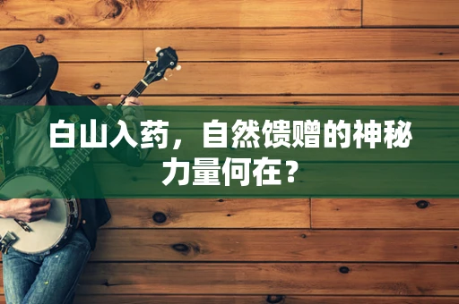 白山入药，自然馈赠的神秘力量何在？