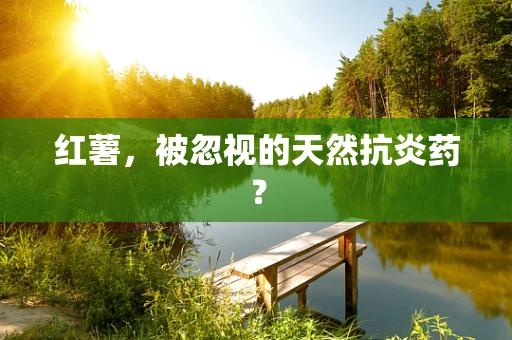 红薯，被忽视的天然抗炎药？