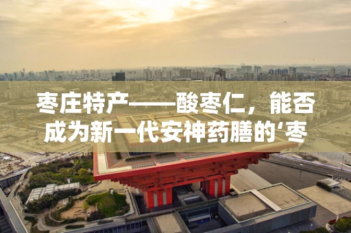 枣庄特产——酸枣仁，能否成为新一代安神药膳的‘枣’选？
