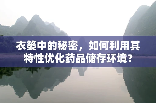 衣篓中的秘密，如何利用其特性优化药品储存环境？