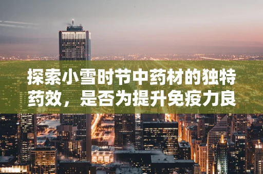 探索小雪时节中药材的独特药效，是否为提升免疫力良方？