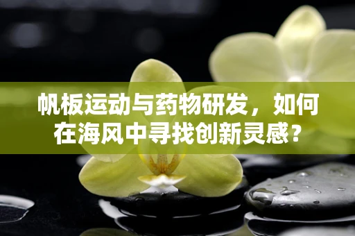 帆板运动与药物研发，如何在海风中寻找创新灵感？