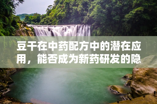 豆干在中药配方中的潜在应用，能否成为新药研发的隐形英雄？