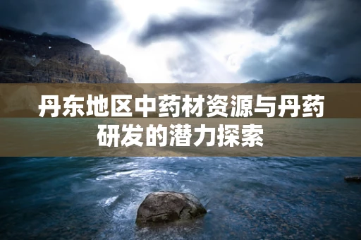 丹东地区中药材资源与丹药研发的潜力探索