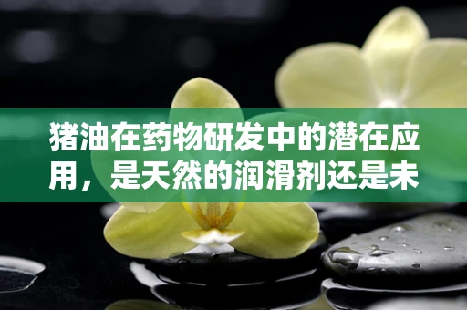 猪油在药物研发中的潜在应用，是天然的润滑剂还是未知的疗效源泉？
