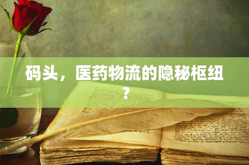 码头，医药物流的隐秘枢纽？
