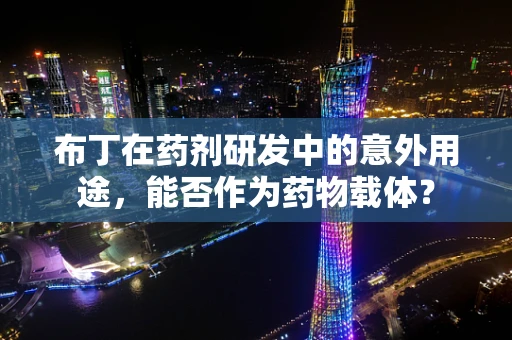 布丁在药剂研发中的意外用途，能否作为药物载体？