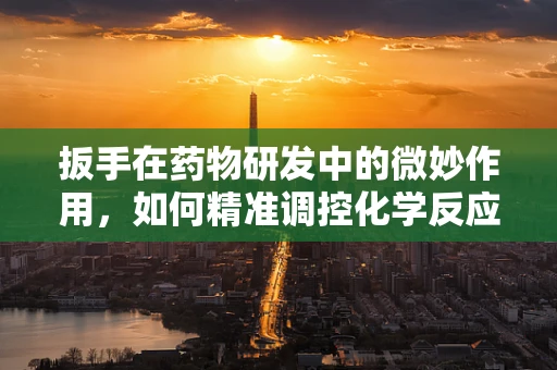 扳手在药物研发中的微妙作用，如何精准调控化学反应？