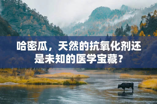 哈密瓜，天然的抗氧化剂还是未知的医学宝藏？