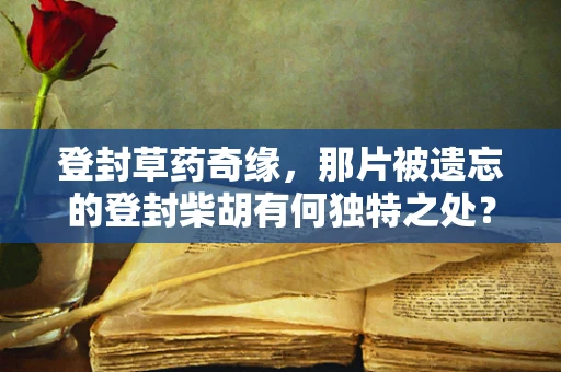 登封草药奇缘，那片被遗忘的登封柴胡有何独特之处？