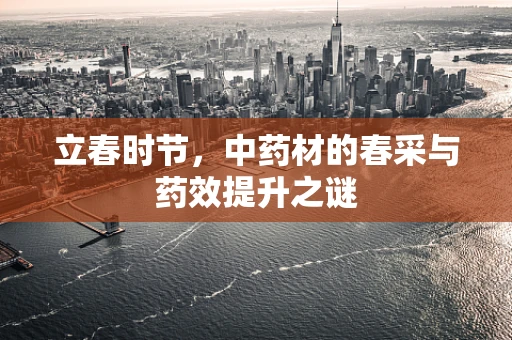 立春时节，中药材的春采与药效提升之谜