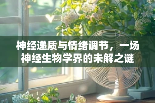 神经递质与情绪调节，一场神经生物学界的未解之谜