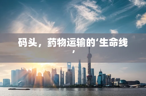 码头，药物运输的‘生命线’