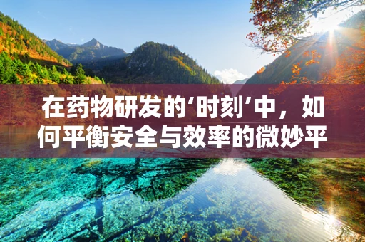 在药物研发的‘时刻’中，如何平衡安全与效率的微妙平衡？