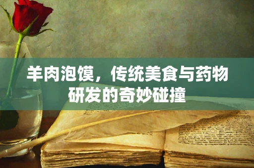 羊肉泡馍，传统美食与药物研发的奇妙碰撞