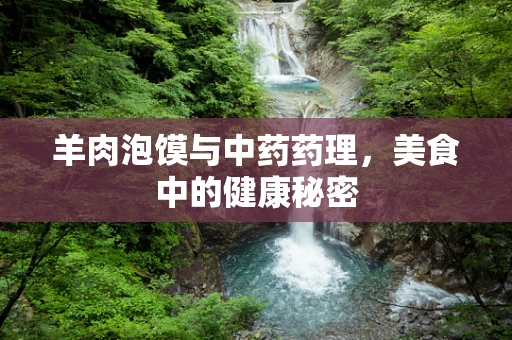 羊肉泡馍与中药药理，美食中的健康秘密