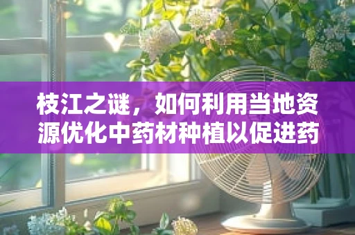 枝江之谜，如何利用当地资源优化中药材种植以促进药剂研发？