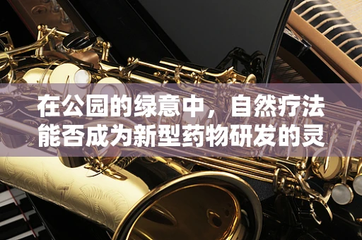 在公园的绿意中，自然疗法能否成为新型药物研发的灵感源泉？